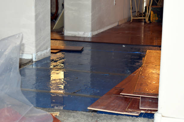 Professional Water Damage Restoration technician working in Askov, MN